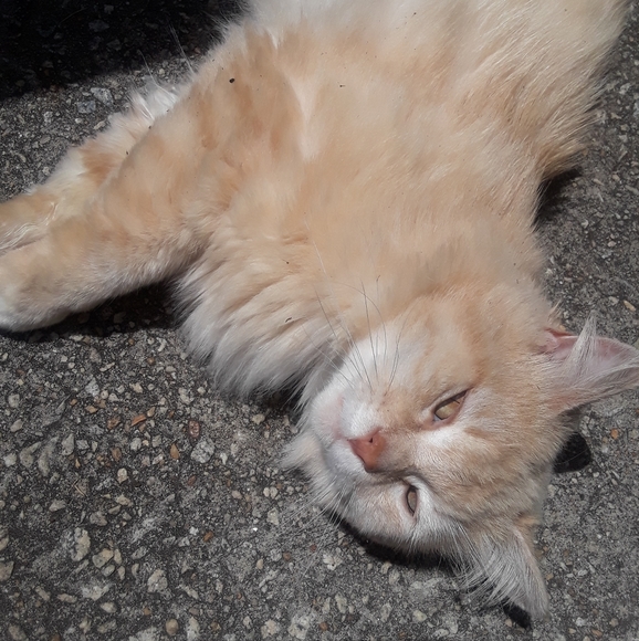 PLEASE SHARE SHARE - Picture 7 of 7